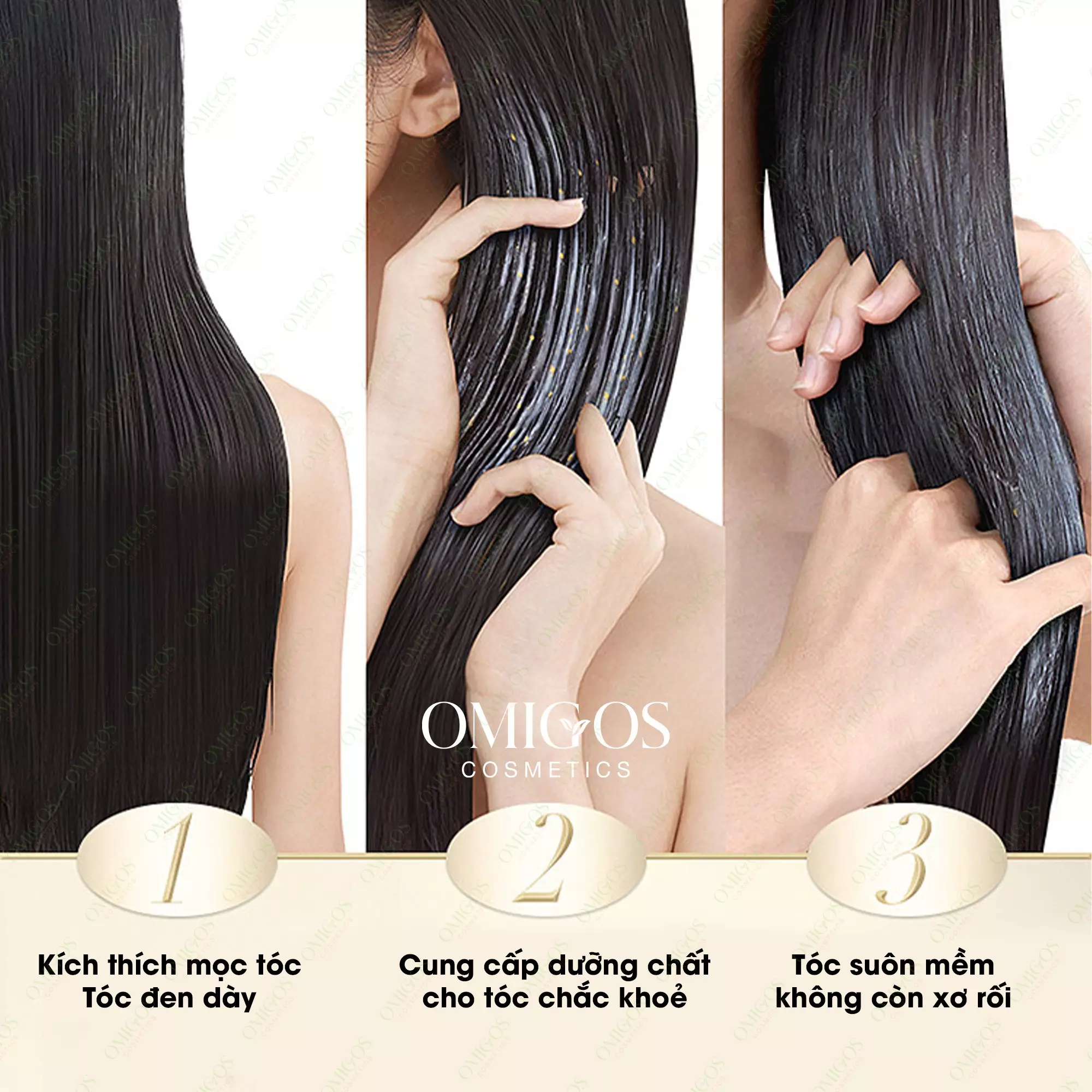 Dầu gội bồ kết có công dụng gì? Dầu gội bồ kết có công dụng gì?