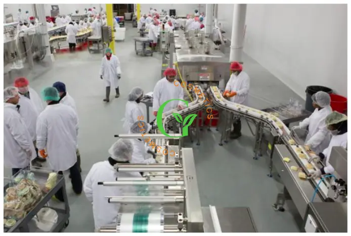Quy trình gia công kem hỗ trợ mờ rạn tại Omigos