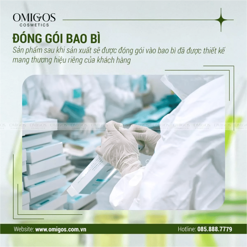 Bao bì hiện đại và chuyên nghiệp