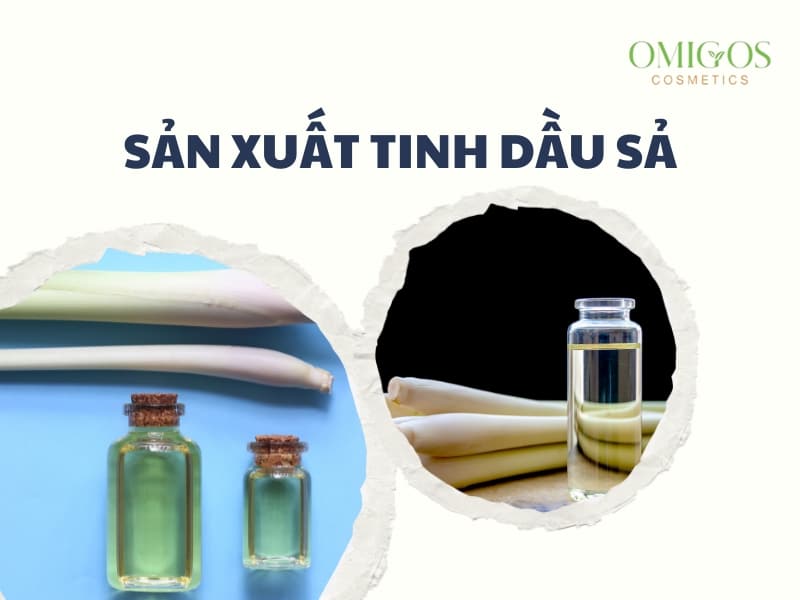 "Cẩm nang" sản xuất tinh dầu sả cho người mới bắt đầu