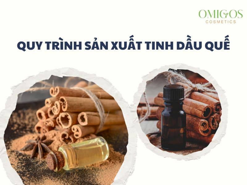 Quy trình sản xuất tinh dầu quế theo yêu cầu