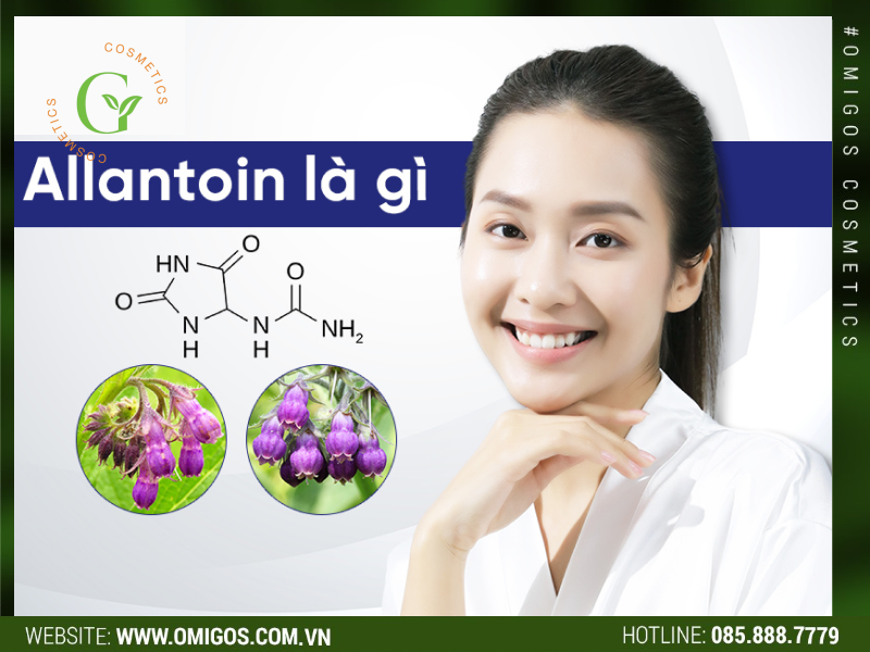 allantoin là gì