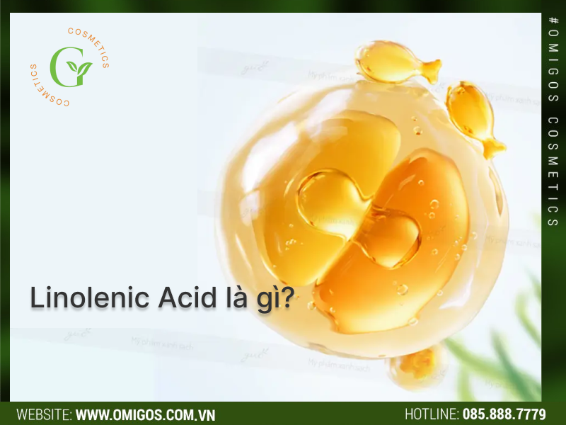 linolenic acid là gì