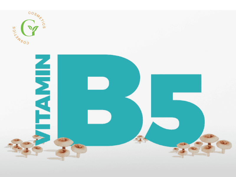 Thành Phần Vitamin B5 Trong Mỹ Phẩm Thành Phần Vitamin B5 Trong Mỹ Phẩm