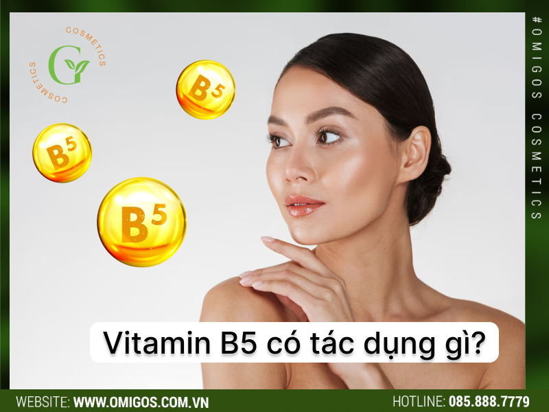 vitamin b5 có tác dụng gì