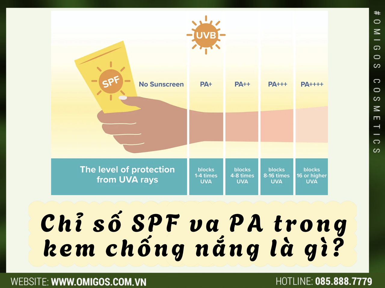 Chỉ số SPF va PA trong kem chống nắng là gì? Cách đọc chỉ số đúng nhất