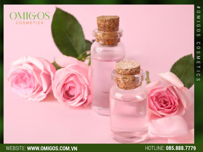 Nguyên liệu gia công toner hoa hồng phù hợp