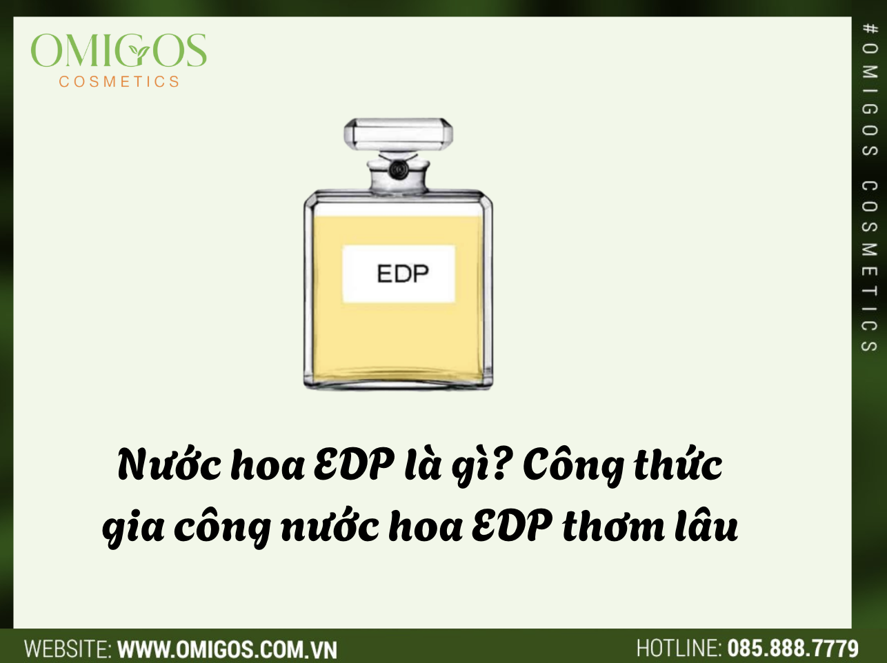 Nước hoa EDP là gì? Công thức nước hoa EDP thơm lâu - Khám Phá Thế Giới Hương Thơm Bền Vững