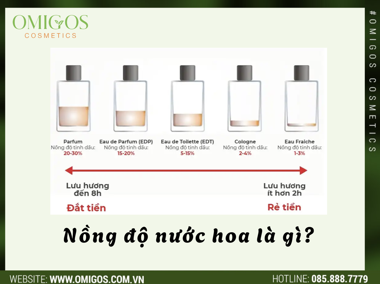 Nồng độ nước hoa được hiểu như thế nào - Khám phá bí ẩn và sự tinh tế của mùi hương