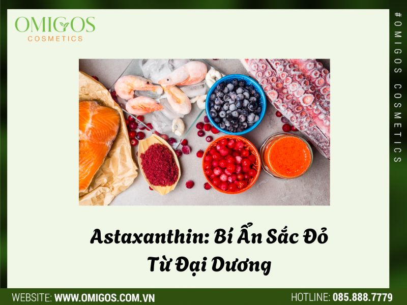 Astaxanthin: Bí Ẩn Sắc Đỏ Từ Đại Dương