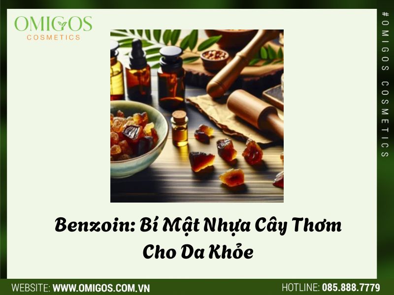 Benzoin: Bí Mật Nhựa Cây Thơm Cho Da Khỏe