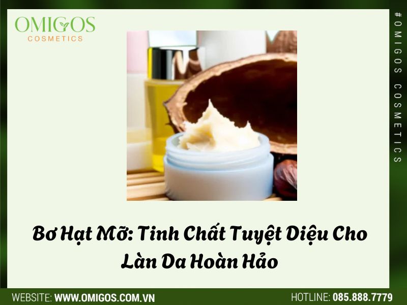 Bơ Hạt Mỡ: Tinh Chất Tuyệt Diệu Cho Làn Da Hoàn Hảo