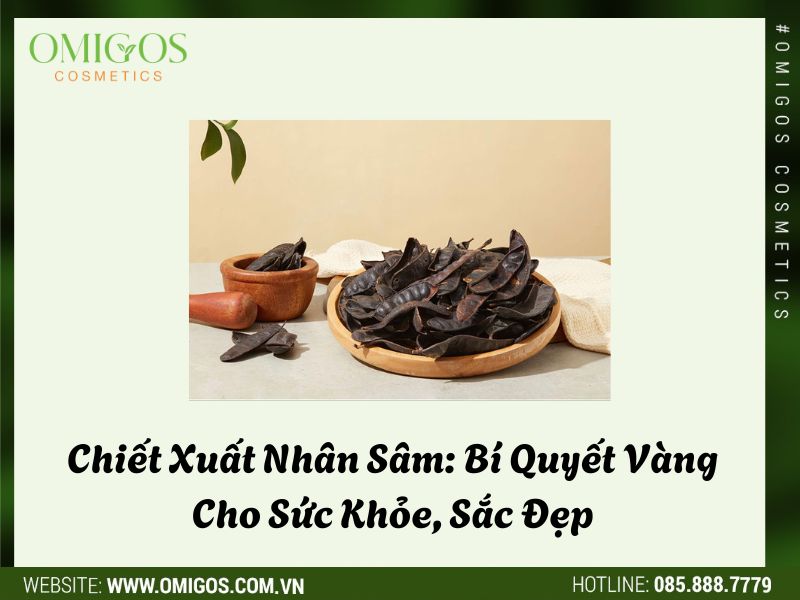Khám Phá Bồ Kết: Bí Quyết Làm Đẹp Từ Thiên Nhiên