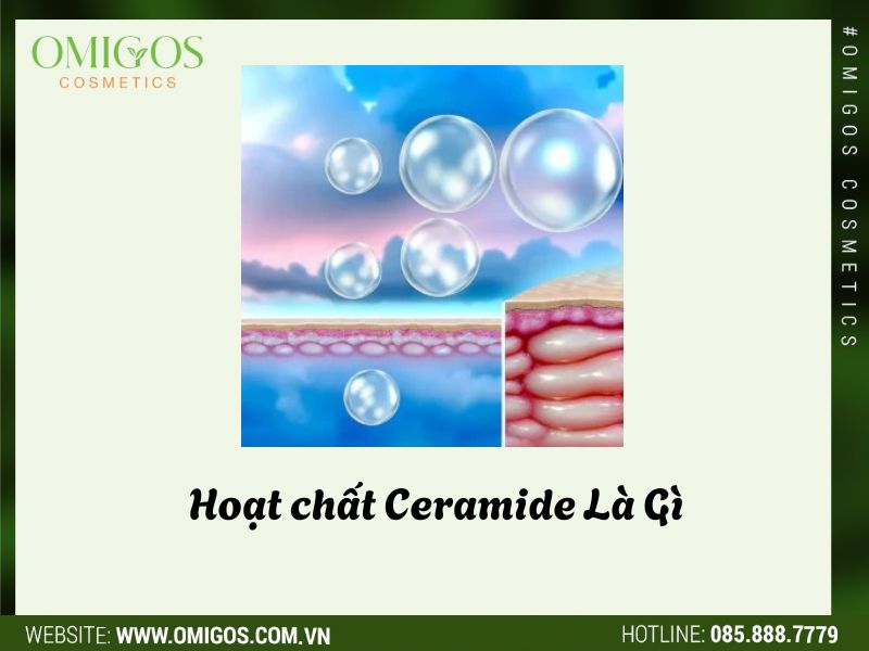 Hoạt chất Ceramide Là Gì