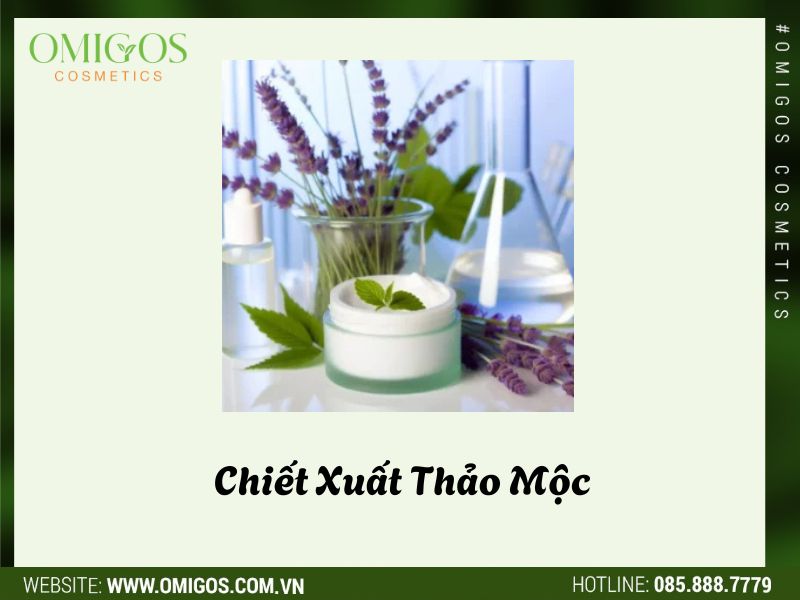 Chiết Xuất Thảo Mộc