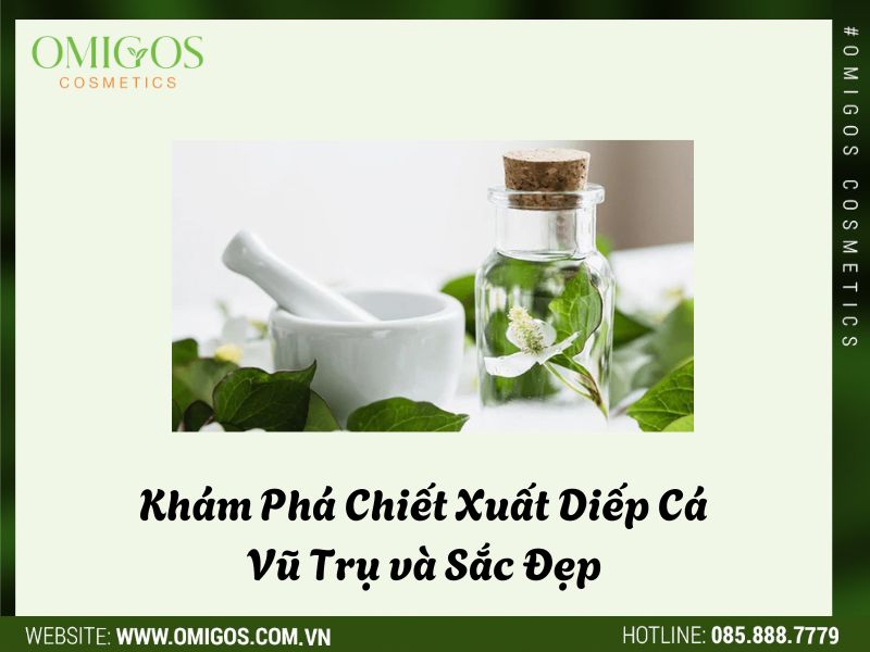 Khám Phá Chiết Xuất Diếp Cá: Vũ Trụ và Sắc Đẹp