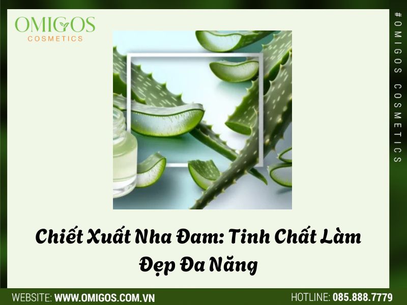 Chiết Xuất Nha Đam: Tinh Chất Làm Đẹp Đa Năng