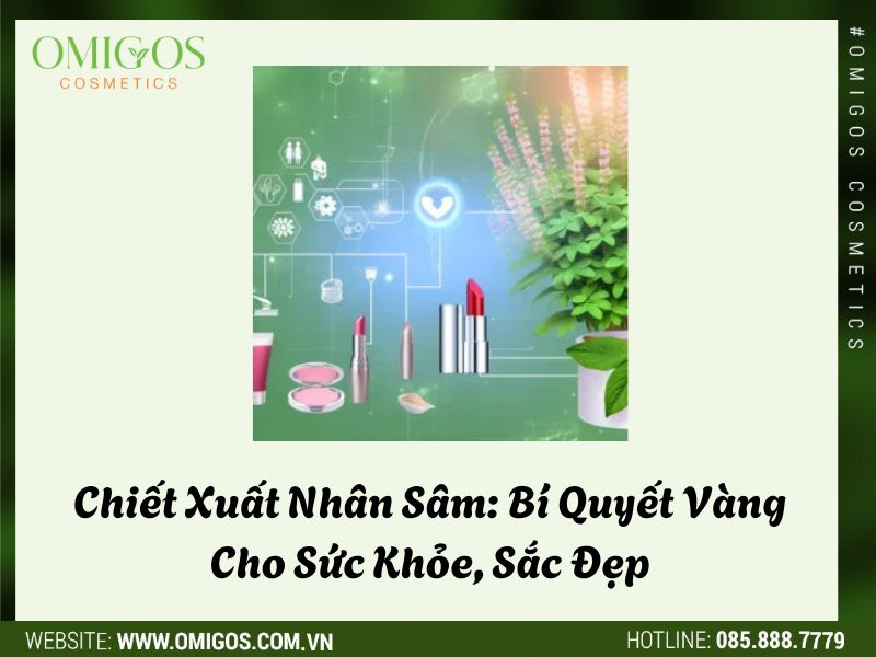Chiết Xuất Nhân Sâm: Bí Quyết Vàng Cho Sức Khỏe, Sắc Đẹp