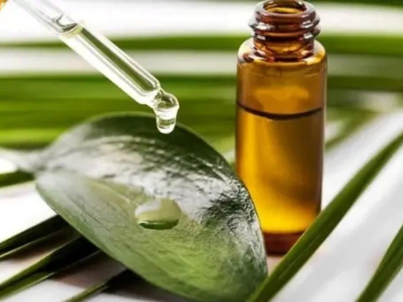 Tác dụng làm đẹp bất ngờ từ chiết xuất trầu không