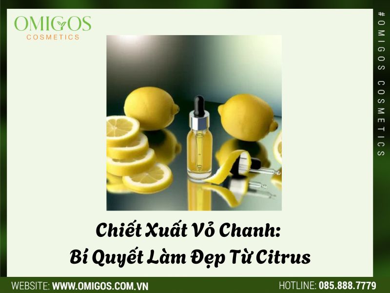 Chiết Xuất Vỏ Chanh: Bí Quyết Làm Đẹp Từ Citrus