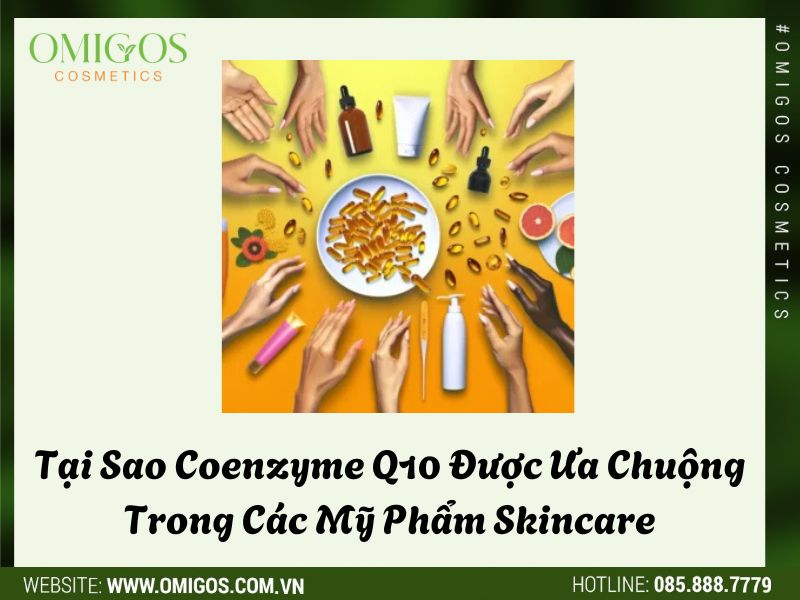 Tại Sao Coenzyme Q10 Được Ưa Chuộng Trong Các Mỹ Phẩm Skincare