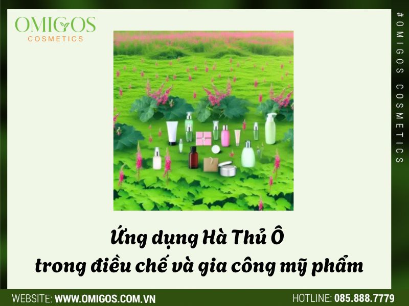 Ứng dụng Hà Thủ Ô trong điều chế và gia công mỹ phẩm