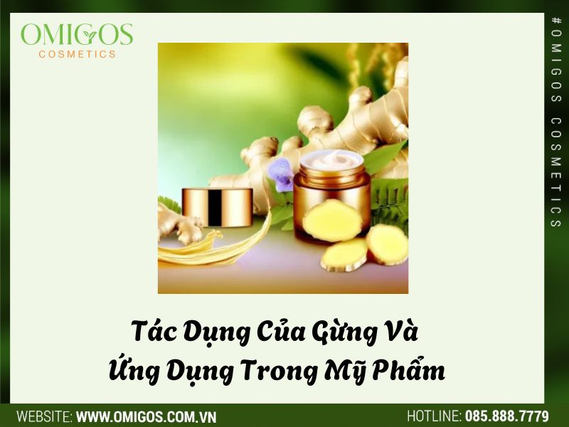 Tác Dụng Của Gừng Và Ứng Dụng Trong Mỹ Phẩm