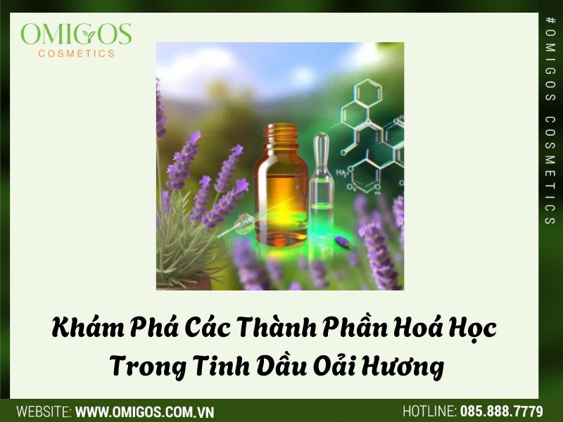 Khám Phá Các Thành Phần Hoá Học Trong Tinh Dầu Oải Hương