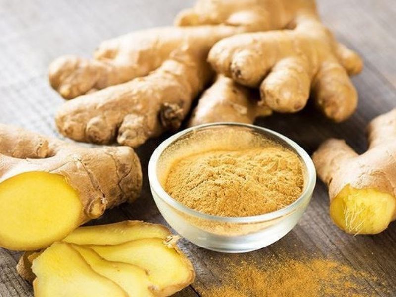 Ứng dụng y khoa của gừng trong phòng và chữa bệnh