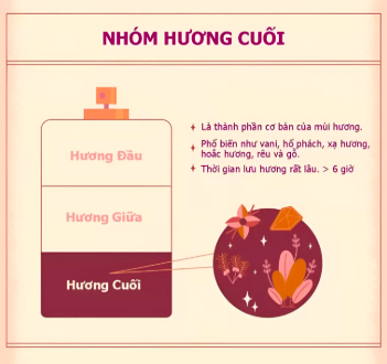 Nốt hương cuối hình thành khi các tầng hương trước lắng xuống, mang lại chiều sâu và độ bền mùi cho nước hoa. Đây là lớp hương lưu lại lâu nhất trên da, góp phần tạo nên cảm giác ấm áp, sang trọng và cuốn hút.