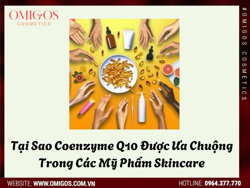 Tại Sao Coenzyme Q10 Được Ưa Chuộng Trong Các Mỹ Phẩm Skincare